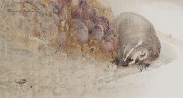 Thomas Quinn - Badger and Young Killdeer, d. 2011