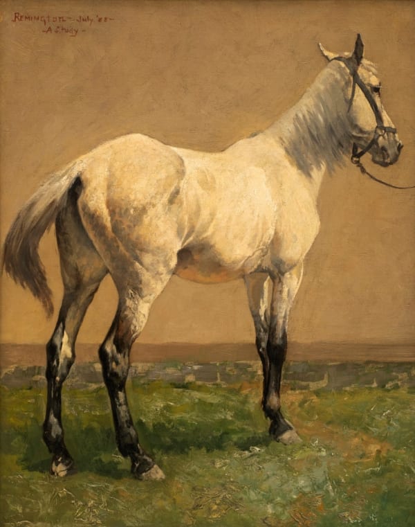 Frederic Remington “-A Study-“ (Cavalry Horse), d. 1888 24 x 20 inches