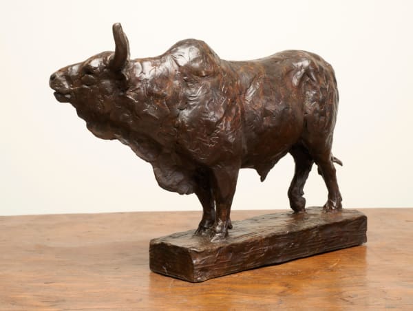 Dan Ostermiller, Study for "Extreme"