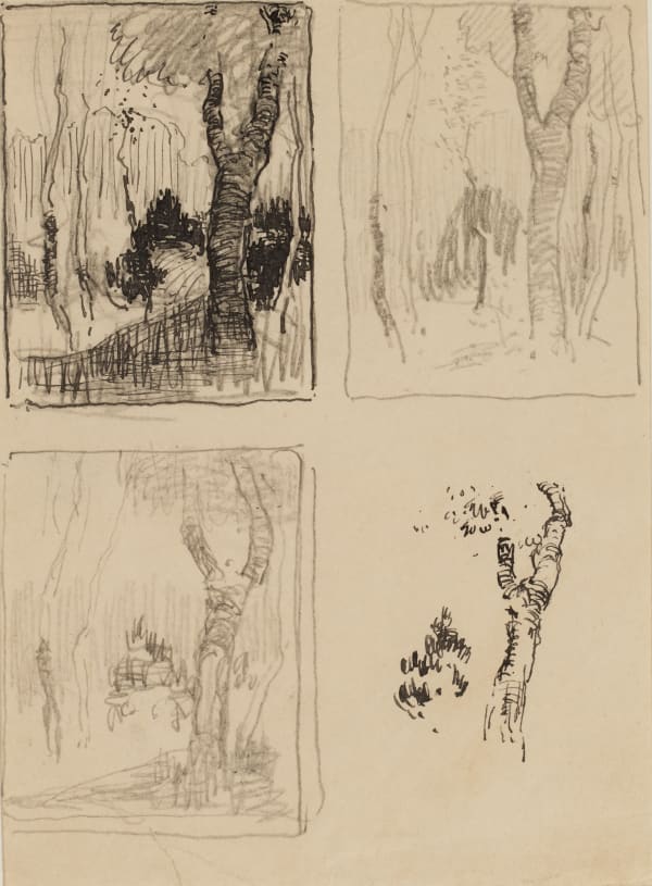 William Penhallow Henderson, Tree Trunk Studies, c. 1913