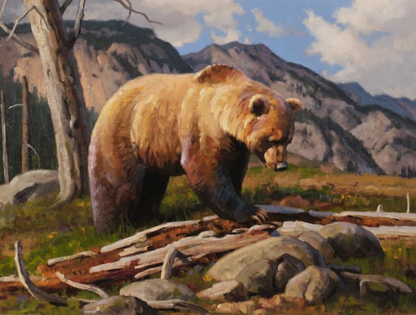 Dave Wade - High Country Grubbing