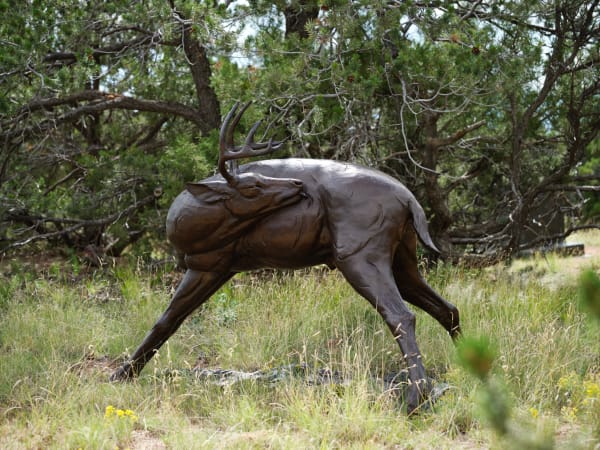 Dan Ostermiller Preening Whitetail Monument, d. 2005 54 h x 46 w x 572 inches