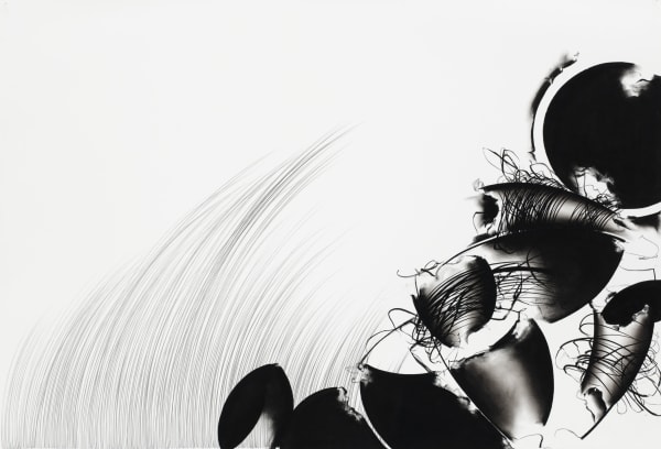 Linda Lynch, Wind Drift, d. 2024