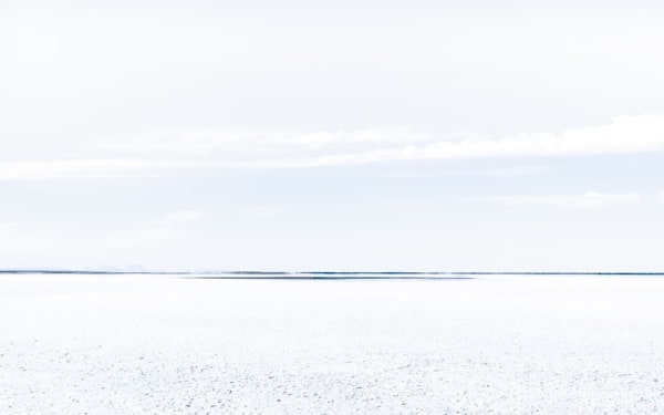 305 White on white III