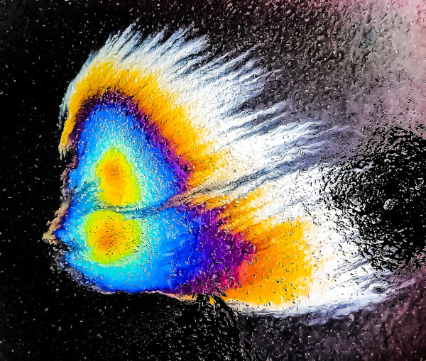 104 Oil Spot comet I