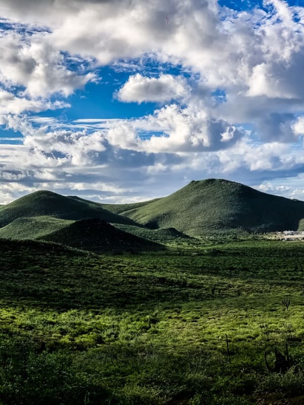 101 montañas verdes
