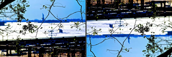 pablo marquez, freedom, 2011