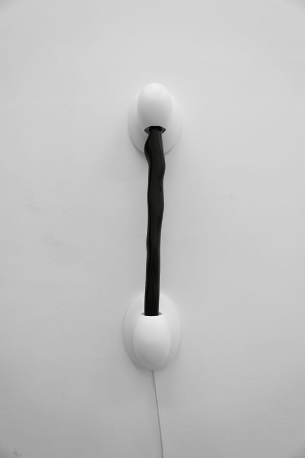 [pɑːtɪk(ə)l], [blæk/laɪt_003], 2024