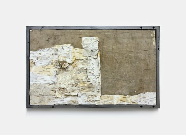 Sean Savage Ferrari, Resurge, 2025