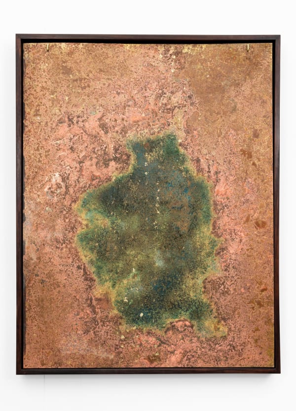 Shaan Bevan, Knot in my Stomach, 2024