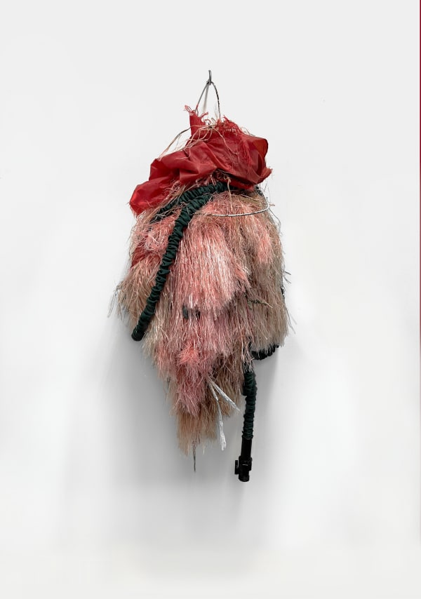 Sean Savage Ferrari, 2025.1.1, 2025