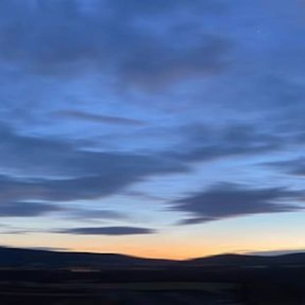 Don Scott Macdonald, Stella Calma, 2021