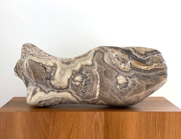 Yoko Kubrick, Daphne, 2019