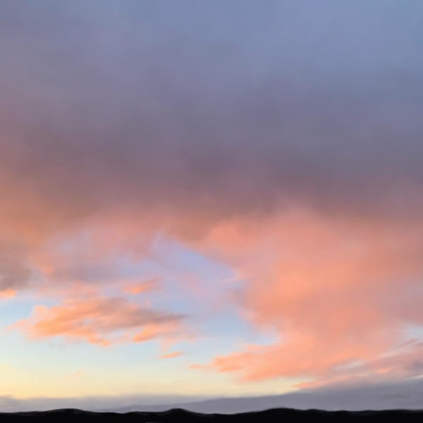 Don Scott Macdonald, Big Pinks Brief Moment, 2025