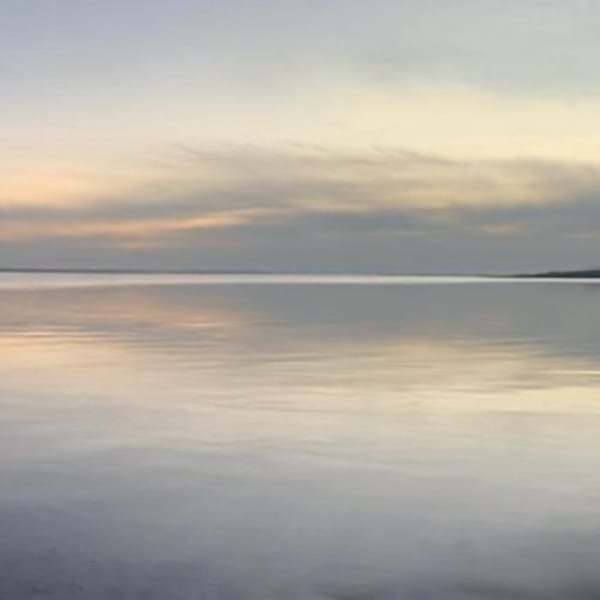 Don Scott Macdonald, Morning Rambler, 2023