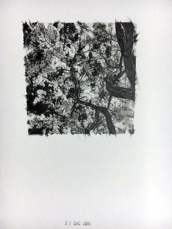 Frank Mujica, Serie Diario, 27 de Diciembre de 2015, 2015