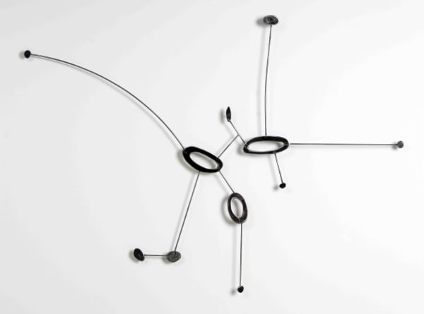 Carolina Sardi, Cluster # 1, 2010