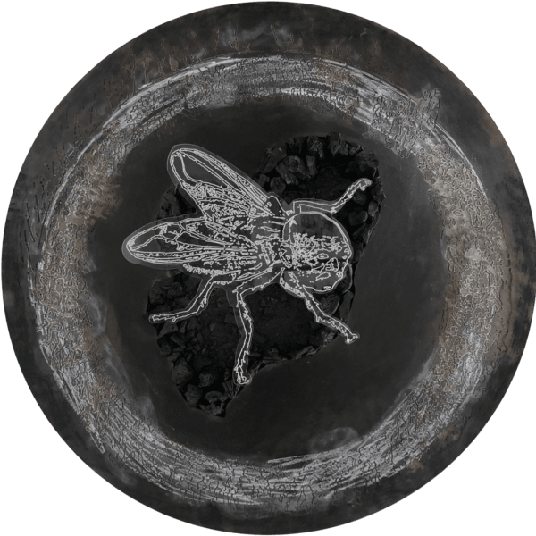 Sandra Ramos, Fly. Series Resurrection (Ashes & Diamonds), 2018