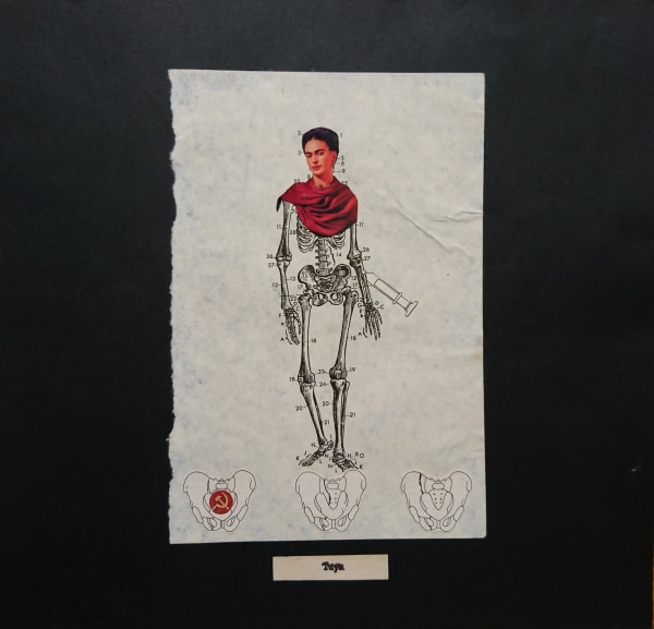 Wanda Fraga, Tuya, 2015