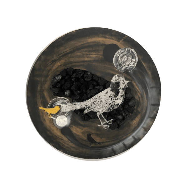 Sandra Ramos, Bird. Series Resurrection (Ashes & Diamonds), 2018