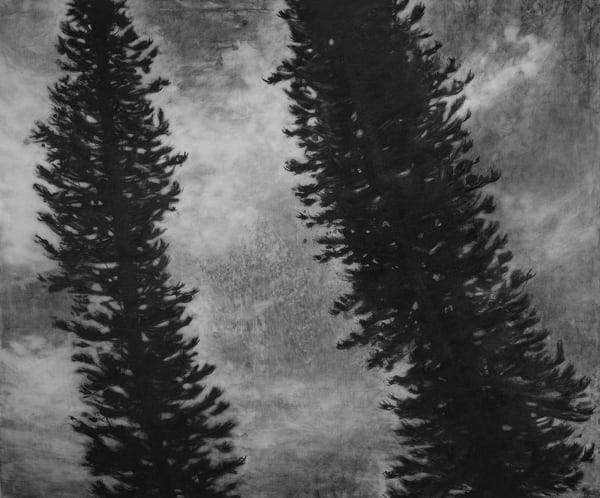 Frank Mujica Dos Pinos, 2013 Acrylic on Canvas 79 x 93.25 in 200.66 x 236.85 cm