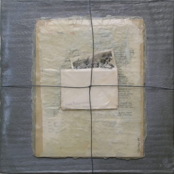 Carlos Gallardo, Evidencias III, 1996