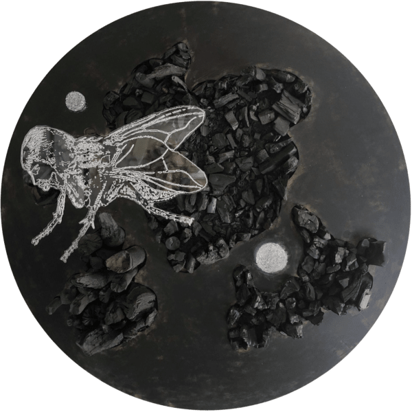 Sandra Ramos, Fly. Series Resurrection (Ashes & Diamonds), 2018