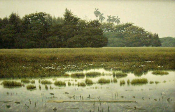 Diego Torres, Untitled, 2007