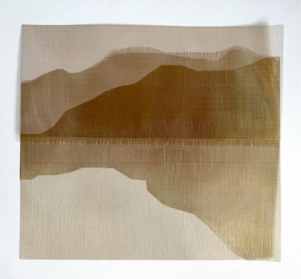 Elizabet Cerviño Escape, 2025 Openwork bronze meshes 22 x 24 3/4 in 55.9 x 62.9 cm