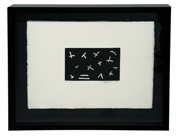 Carolina Sardi, X + - ), 2001