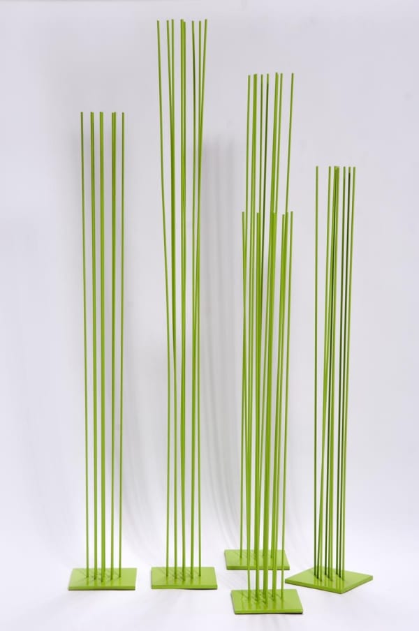 Carolina Sardi, Greener Grass, 2011