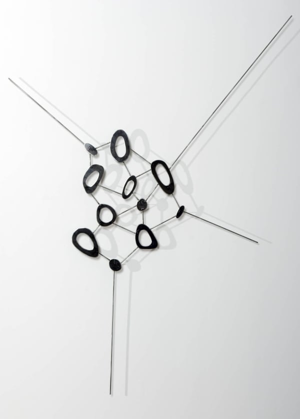 Carolina Sardi, Coraz贸n/Caparaz贸n, 2010