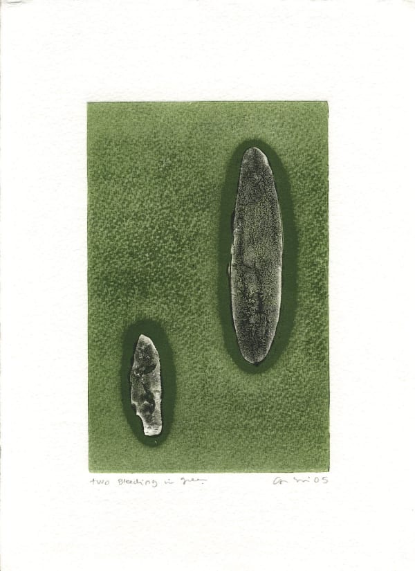Carolina Sardi, Two Bleeding into Green, 2005