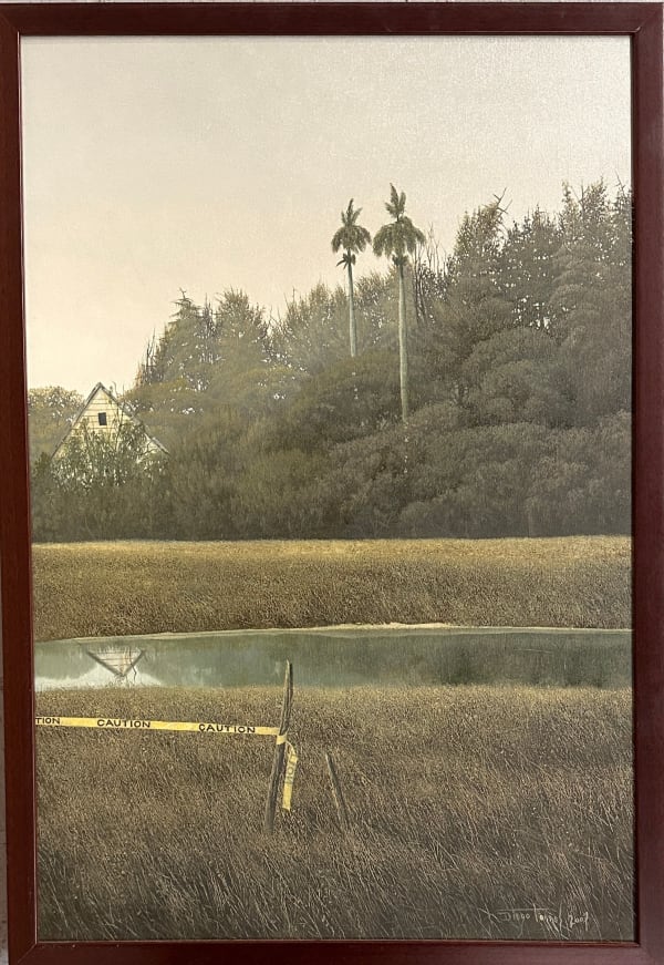 Diego Torres, Caution, 2007