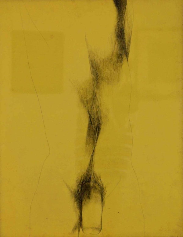 Servando Cabrera Moreno, Fabio, 1972