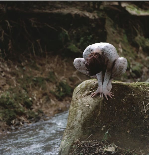 Cecilia Paredes, Dawn, 2005