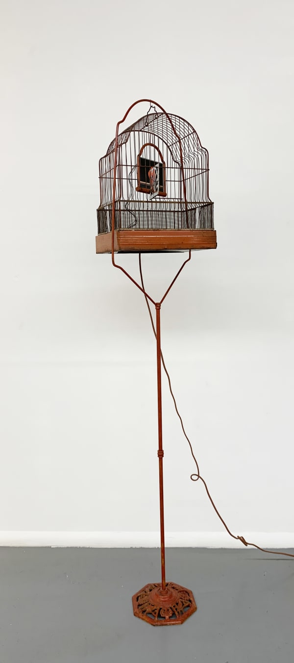 Troy Abbott Seeing Red, 2014 Antique birdcage with electronic video of a bird 66 1/2 x 16 3/4 x 9 1/2 in 168.9 x 42.5 x 24.1 cm