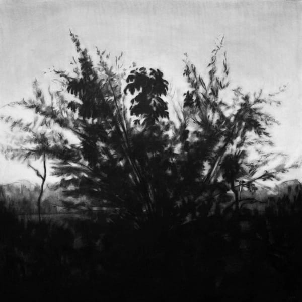 Frank Mujica, Untitled, 2015