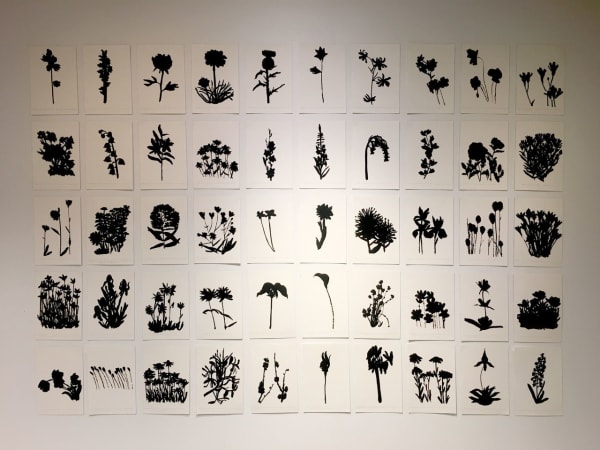 Jorge Rios Bloomsday, 2019 oil stick on paper 57 x 79 in 144.78 x 200.66 cm