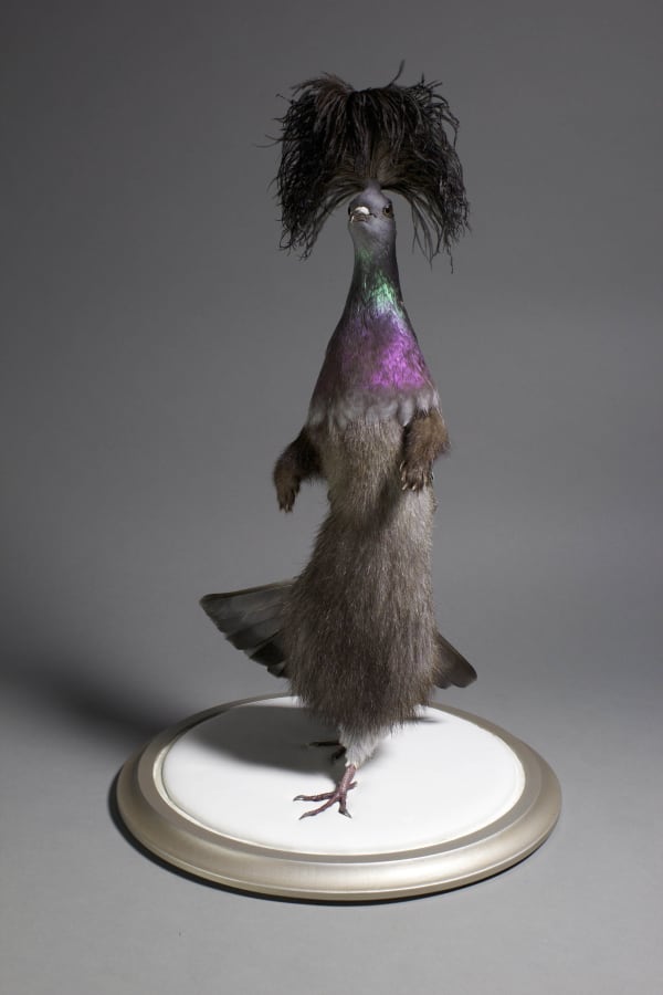 Enrique Gomez de Molina Lolita, n.d Mixed Media (Not a real animal) 22 x 11 x 11 in 55.9 x 27.9 x 27.9 cm