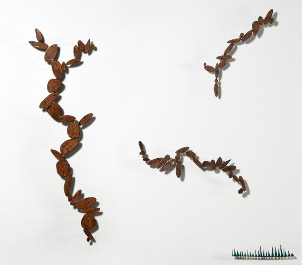 Carolina Sardi, Sisifo, 2012