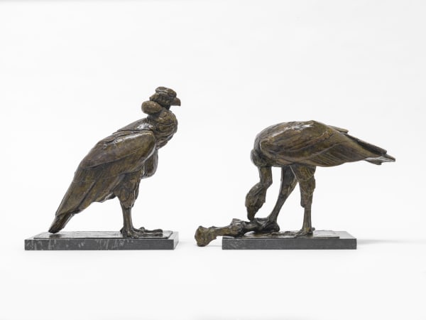 Condors, c.1914