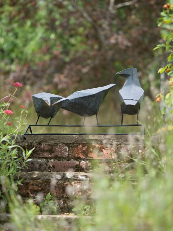 Jackdaws on Ridge