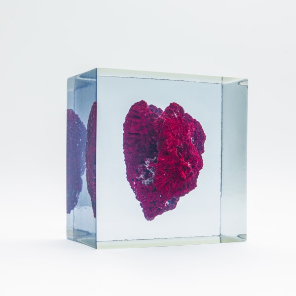 Eilis O'Connell Corallium Rubrum 5, 2010 Clear cast resin and coral 25 x 24 x 14 cm 9 21/25 x 9 9/20 x 5 51/100 inches Unique