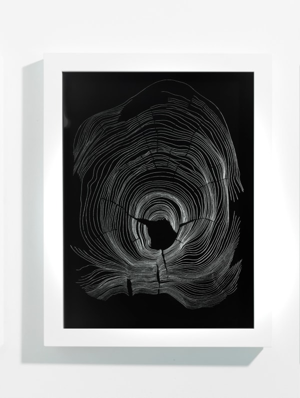 Lines of Time (ii), 2023