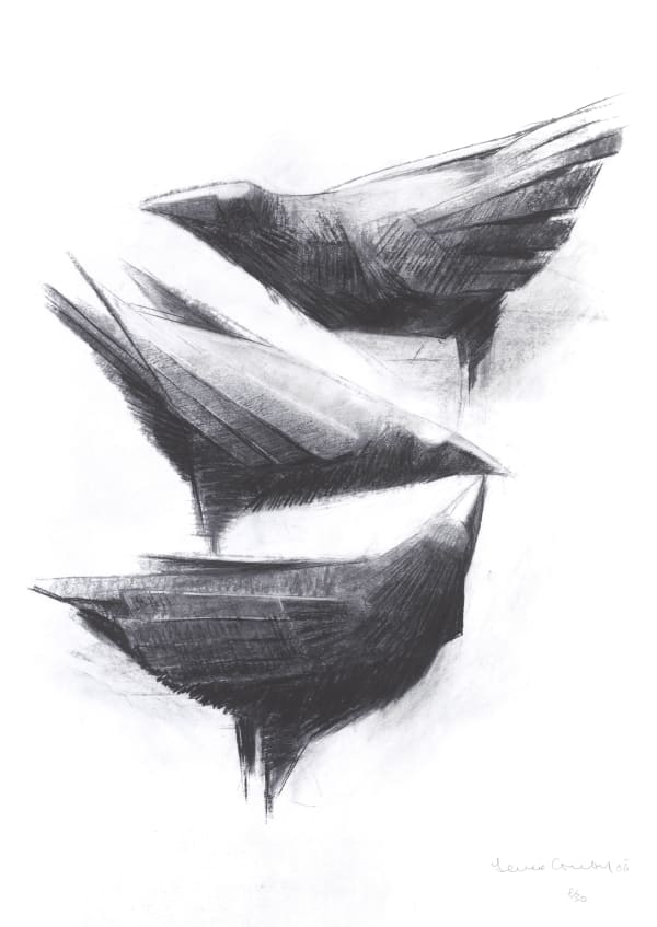 Terence Coventry Rooks, 2006 Photographic print on watercolour paper 90 x 61 cm (paper size) 35 3/8 x 24 1/8 in Edition of 30 plus 2 artist's proofs