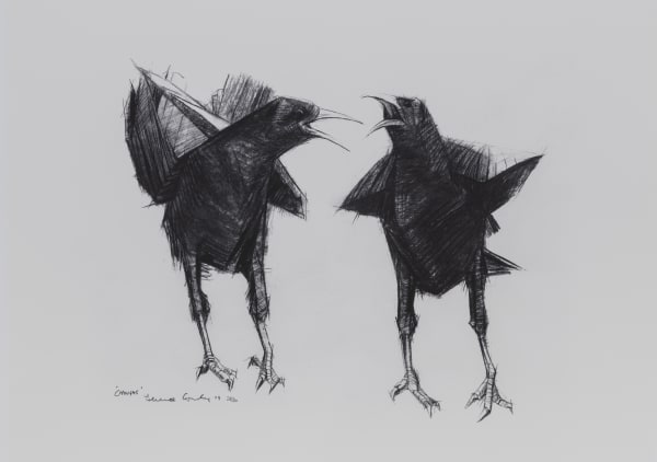 Choughs, 2004