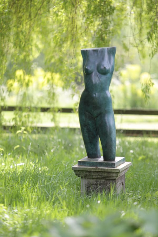Torso without Head