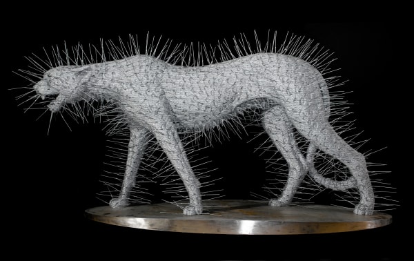 Spike, 2011