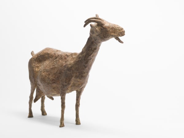 Goat, c.1980